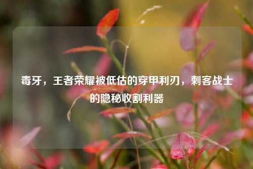 毒牙，王者荣耀被低估的穿甲利刃，刺客战士的隐秘收割利器