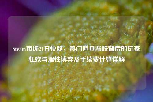 Steam市场21日快照，热门道具涨跌背后的玩家狂欢与理性博弈及手续费计算详解
