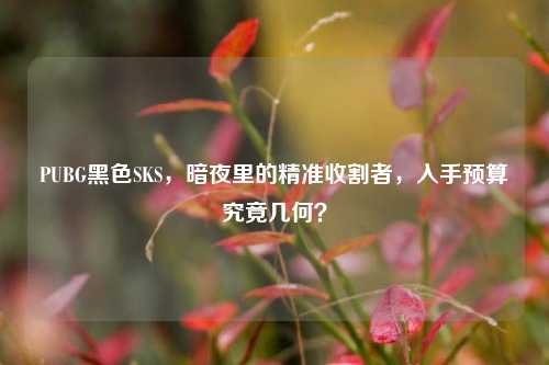 PUBG黑色SKS，暗夜里的精准收割者，入手预算究竟几何？