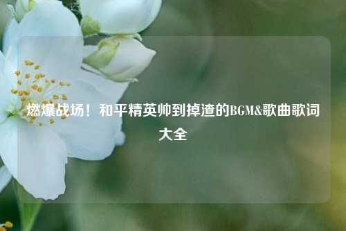 燃爆战场！和平精英帅到掉渣的BGM&歌曲歌词大全