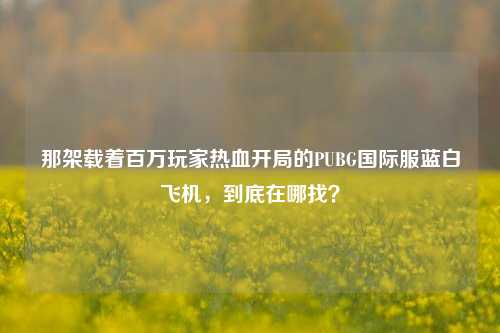 那架载着百万玩家热血开局的PUBG国际服蓝白飞机，到底在哪找？