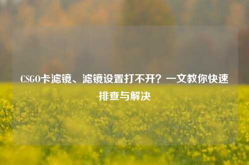 CSGO卡滤镜、滤镜设置打不开？一文教你快速排查与解决