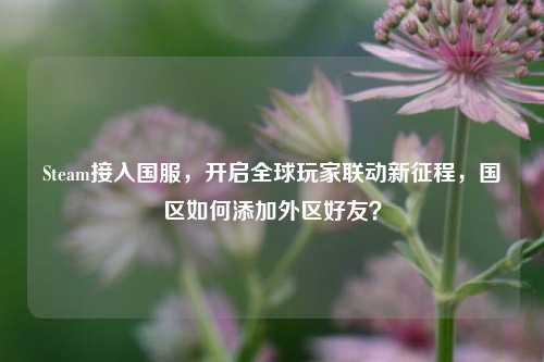 Steam接入国服，开启全球玩家联动新征程，国区如何添加外区好友？