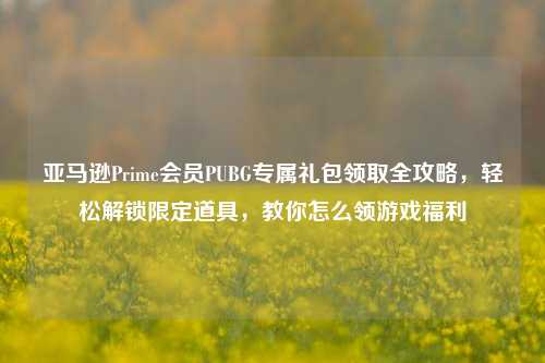 亚马逊Prime会员PUBG专属礼包领取全攻略，轻松解锁限定道具，教你怎么领游戏福利