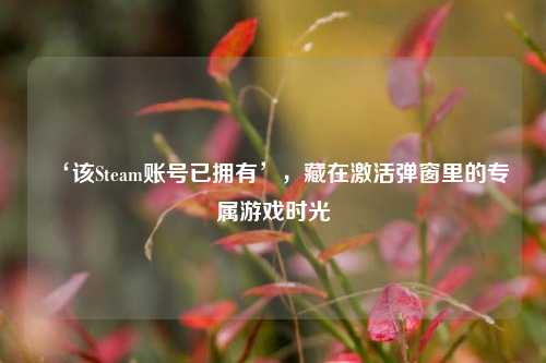 ‘该Steam账号已拥有’，藏在激活弹窗里的专属游戏时光