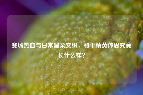 赛场热血与日常温柔交织，和平精英休思究竟长什么样？