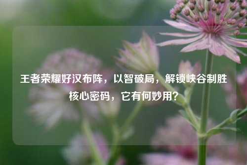 王者荣耀好汉布阵，以智破局，解锁峡谷制胜核心密码，它有何妙用？