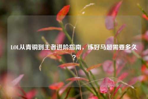 LOL从青铜到王者进阶指南，练好马超需要多久？