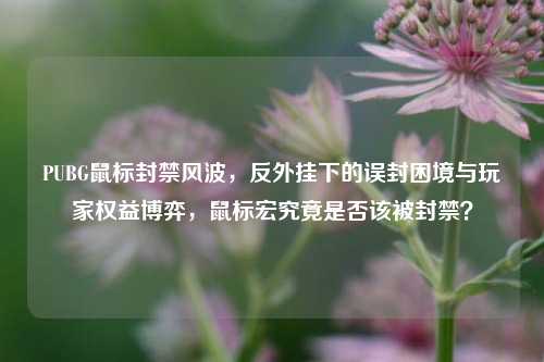 PUBG鼠标封禁风波，反外挂下的误封困境与玩家权益博弈，鼠标宏究竟是否该被封禁？