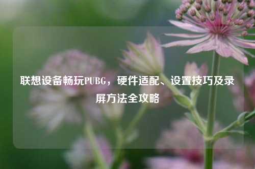 联想设备畅玩PUBG，硬件适配、设置技巧及录屏     全攻略