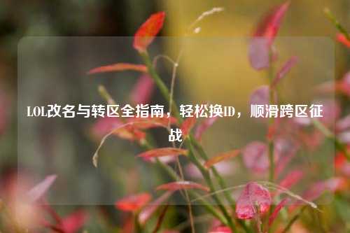 LOL改名与转区全指南，轻松换ID，顺滑跨区征战