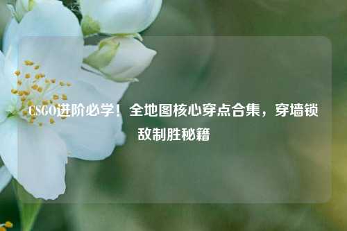 CSGO进阶必学！全地图核心穿点合集，穿墙锁敌制胜秘籍