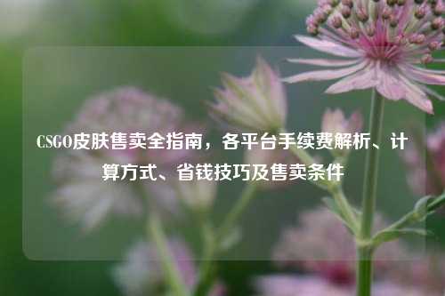 CSGO皮肤售卖全指南，各平台手续费解析、计算方式、省钱技巧及售卖条件
