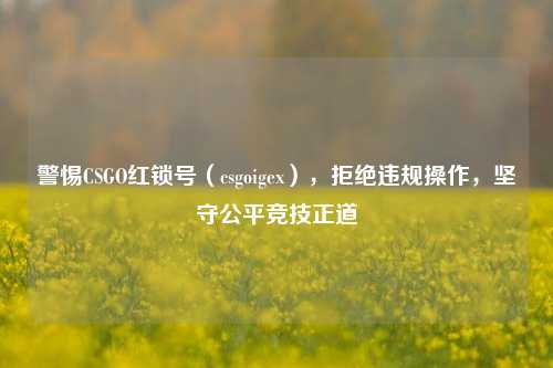 警惕CSGO红锁号（csgoigex），拒绝违规操作，坚守公平竞技正道