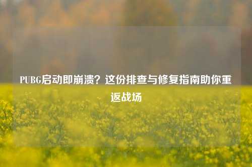 PUBG启动即崩溃？这份排查与修复指南助你重返战场