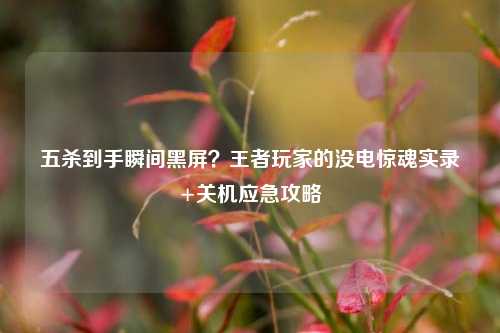 五杀到手瞬间黑屏？王者玩家的没电惊魂实录+关机应急攻略