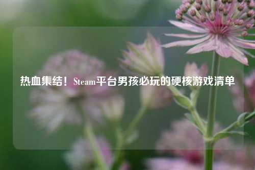 热血集结！Steam平台男孩必玩的硬核游戏清单