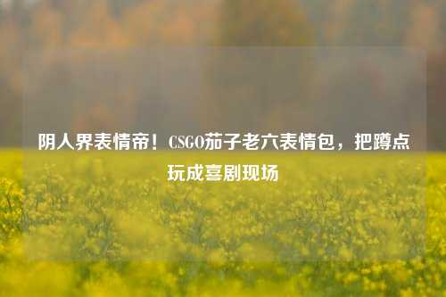 阴人界表情帝！CSGO茄子老六表情包，把蹲点玩成喜剧现场