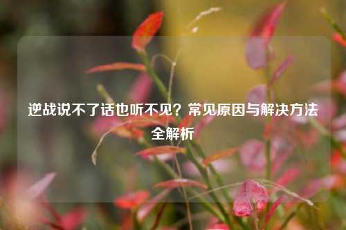 逆战说不了话也听不见？常见原因与解决     全解析