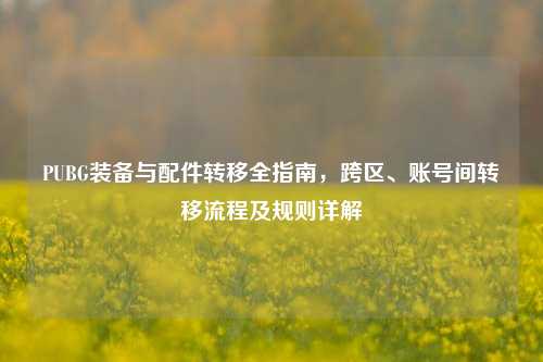 PUBG装备与配件转移全指南，跨区、账号间转移流程及规则详解