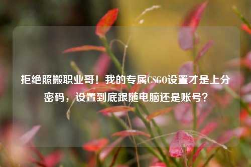 拒绝照搬职业哥！我的专属CSGO设置才是上分密码，设置到底跟随电脑还是账号？