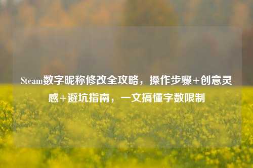 Steam数字昵称修改全攻略，操作步骤+创意灵感+避坑指南，一文搞懂字数限制