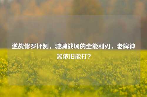 逆战修罗评测，驰骋战场的全能利刃，老牌神器依旧能打？