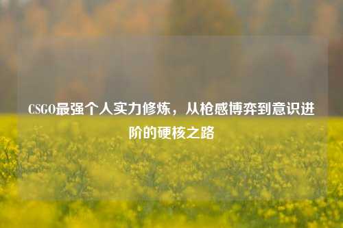 CSGO最强个人实力修炼，从枪感博弈到意识进阶的硬核之路