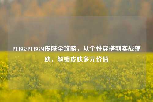 PUBG/PUBGM皮肤全攻略，从个性穿搭到实战辅助，解锁皮肤多元价值