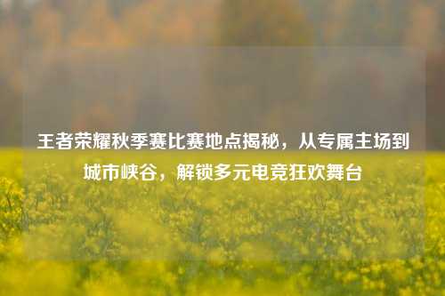 王者荣耀秋季赛比赛地点揭秘，从专属主场到城市峡谷，解锁多元电竞狂欢舞台