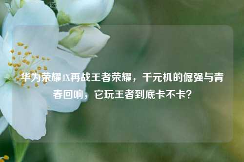 华为荣耀4X再战王者荣耀，千元机的倔强与青春回响，它玩王者到底卡不卡？