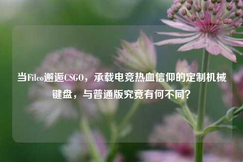 当Filco邂逅CSGO，承载电竞热血信仰的定制机械键盘，与普通版究竟有何不同？