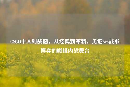 CSGO十人对战图，从经典到革新，见证5v5战术博弈的巅峰内战舞台