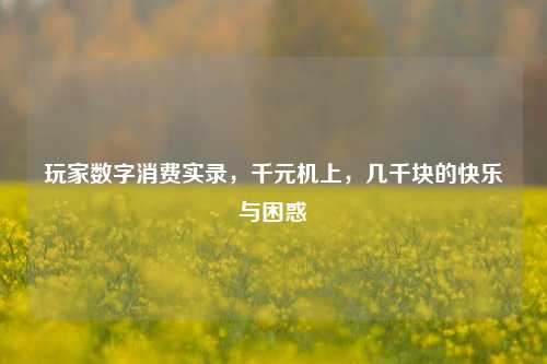 玩家数字消费实录，千元机上，几千块的快乐与困惑