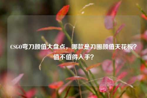 CSGO弯刀颜值大盘点，哪款是刀圈颜值天花板？值不值得入手？