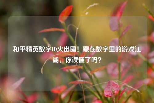 和平精英数字ID火出圈！藏在数字里的游戏江湖，你读懂了吗？