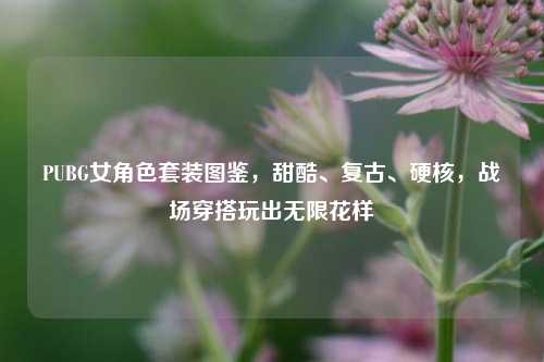PUBG女角色套装图鉴，甜酷、复古、硬核，战场穿搭玩出无限花样