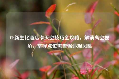 CF新生化酒店卡天空技巧全攻略，解锁高空视角，掌握点位需警惕违规风险