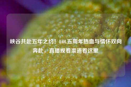 峡谷共赴五年之约！LOL五周年热血与情怀双向奔赴，直播观看渠道看这里