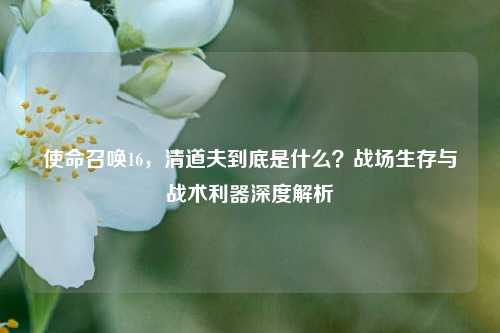 使命召唤16，清道夫到底是什么？战场生存与战术利器深度解析