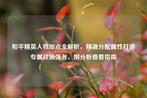 和平精英人物加点全解析，精准分配属性打造专属战场强者，附分析查看指南