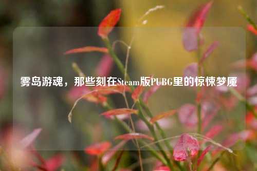 雾岛游魂，那些刻在Steam版PUBG里的惊悚梦魇