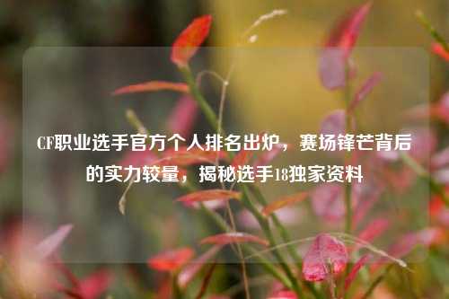 CF职业选手官方个人排名出炉，赛场锋芒背后的实力较量，揭秘选手18独家资料