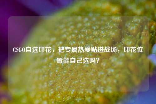 CSGO自选印花，把专属热爱贴进战场，印花位置能自己选吗？
