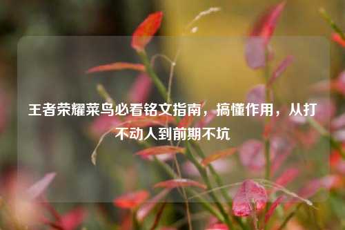 王者荣耀菜鸟必看铭文指南，搞懂作用，从打不动人到前期不坑