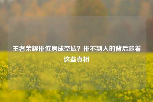 王者荣耀排位房成空城？排不到人的背后藏着这些真相