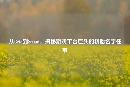 从Grid到Steam，揭秘游戏平台巨头的初始名字往事