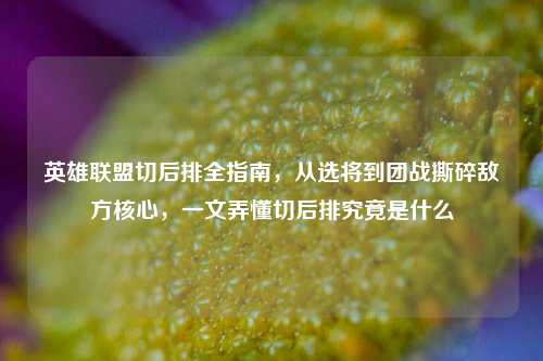 英雄联盟切后排全指南，从选将到团战撕碎敌方核心，一文弄懂切后排究竟是什么