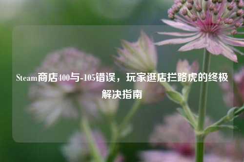 Steam商店400与-105错误，玩家逛店拦路虎的终极解决指南
