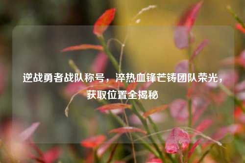 逆战勇者战队称号，淬热血锋芒铸团队荣光，获取位置全揭秘
